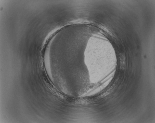 X0000067461358200605051611