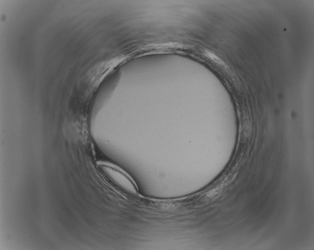 X0000067461361200605051611