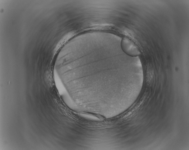 X0000067461362200605051611