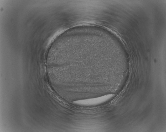 X0000067461363200605051611