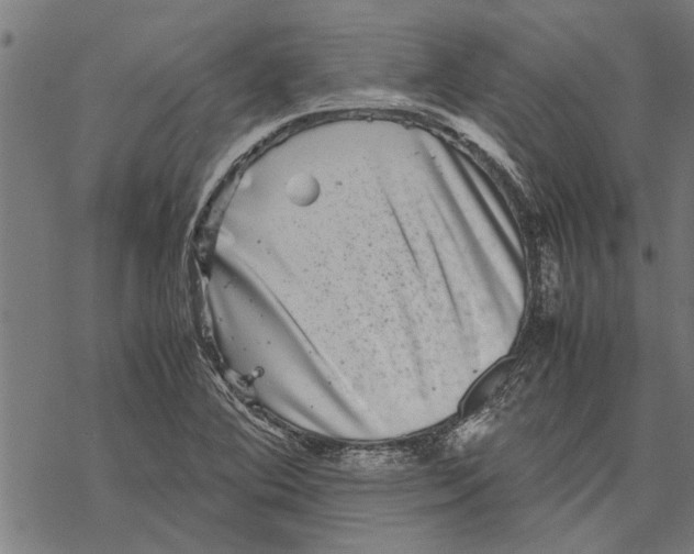 X0000067461364200605051611