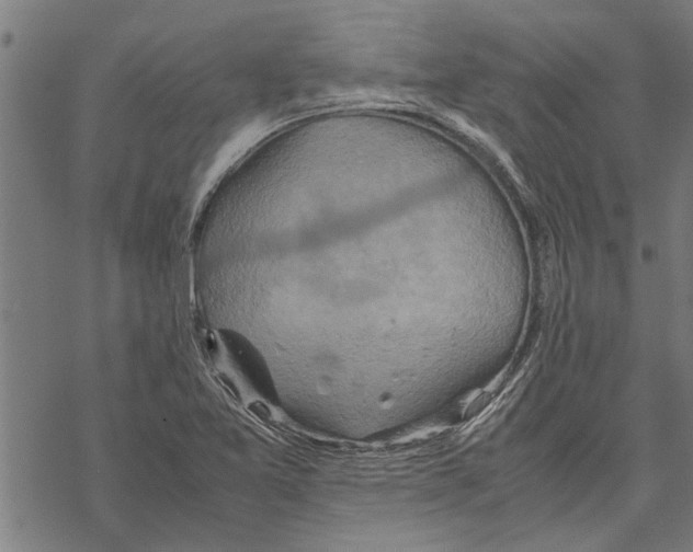 X0000067461365200605051611