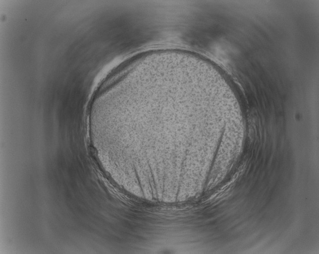 X0000067461366200605051611