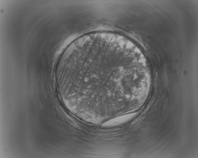 X0000067461367200605051611