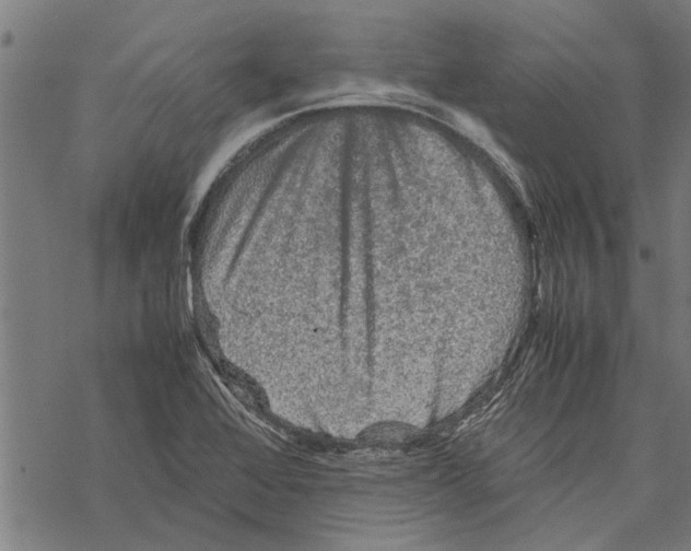 X0000067461368200605051611