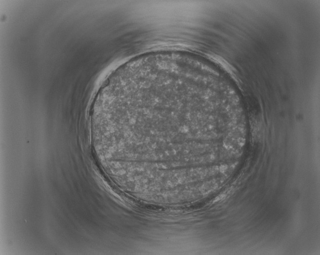 X0000067461371200605051611