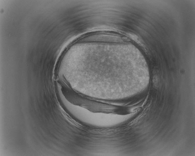 X0000067461372200605051611