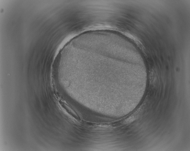 X0000067461374200605051611