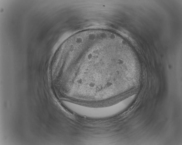 X0000067461375200605051611