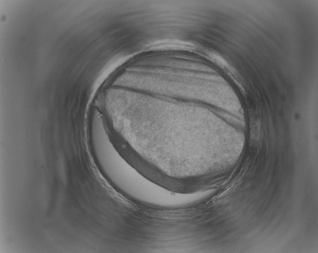 X0000067461376200605051611