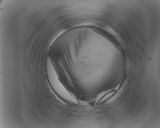 X0000067461377200605051611