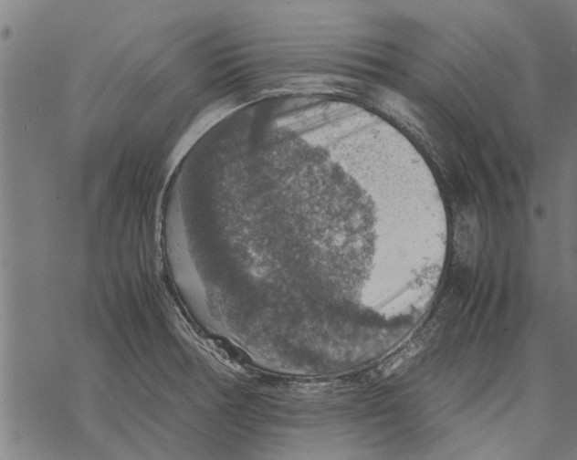 X0000067461378200605051611