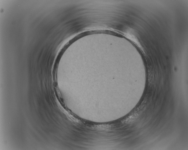 X0000067461380200605051611