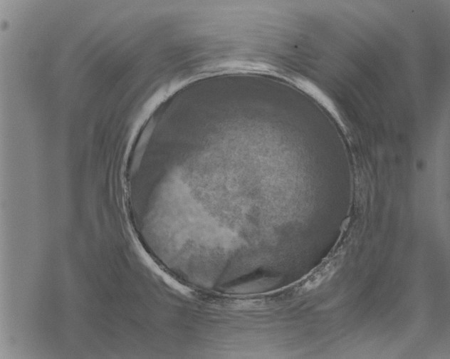 X0000067461381200605051611