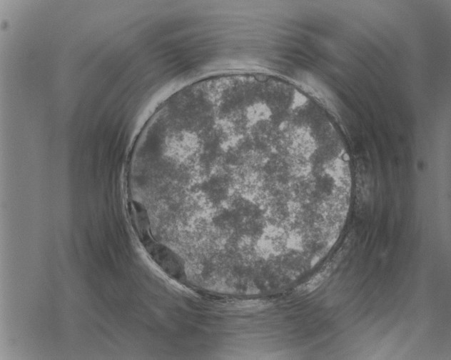 X0000067461382200605051611