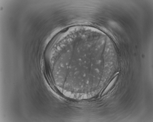 X0000067461383200605051611