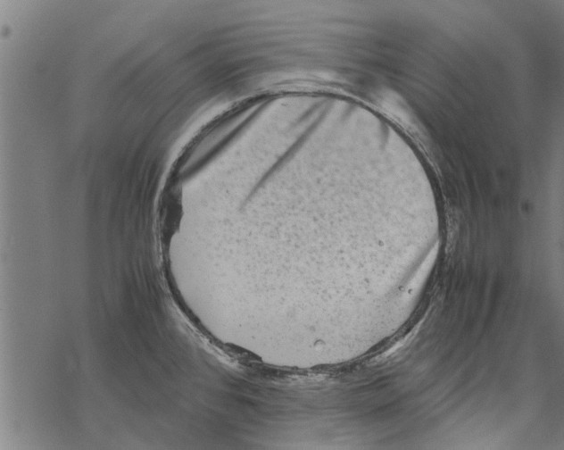 X0000067461384200605051611