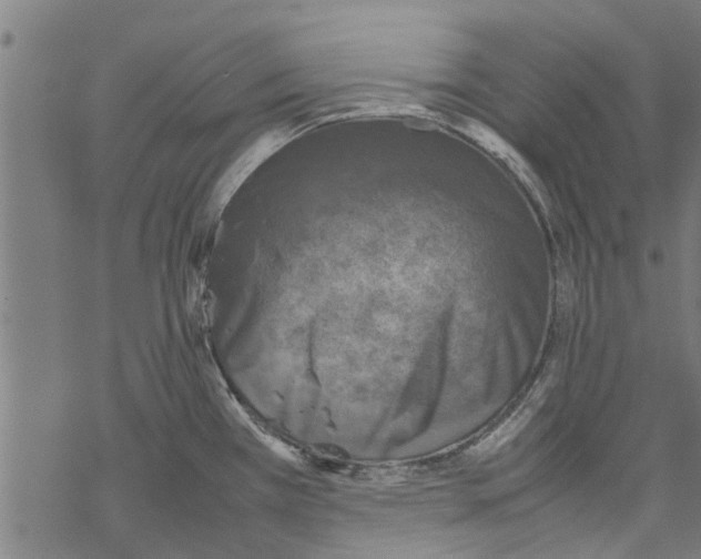 X0000067461385200605051611