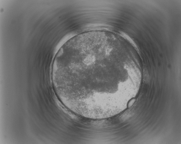 X0000067461386200605051611