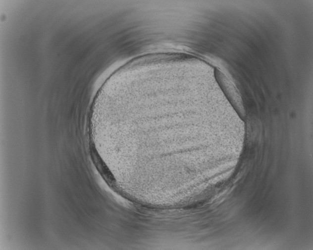 X0000067461387200605051611