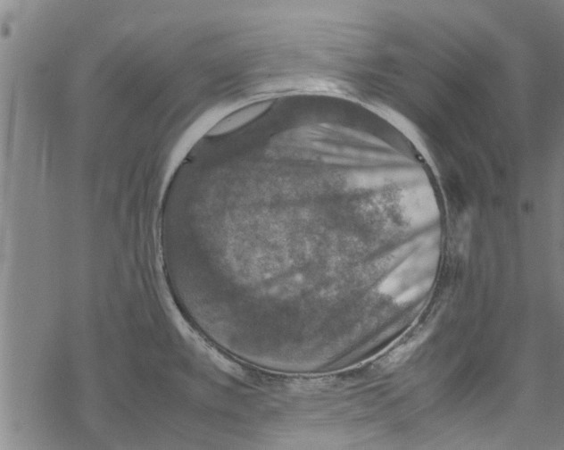 X0000067461389200605051611