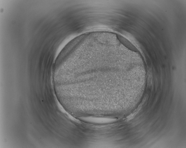 X0000067461390200605051611