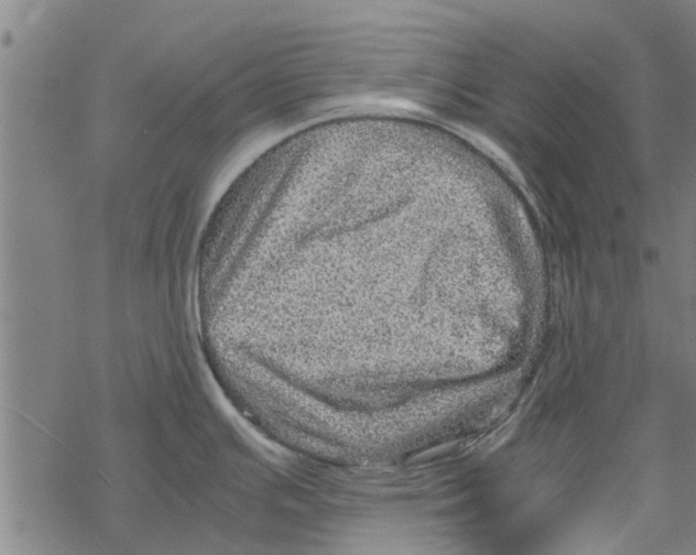 X0000067461391200605051611