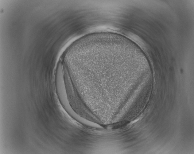 X0000067461392200605051611