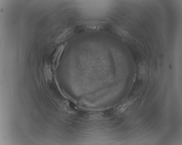 X0000067461394200605051610