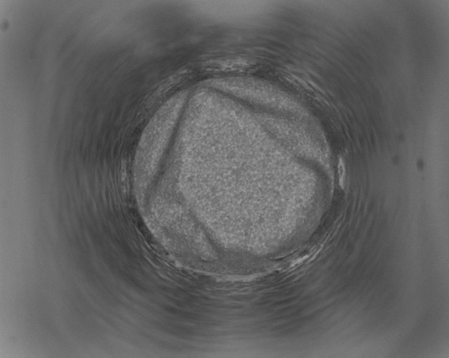 X0000067461395200605051610