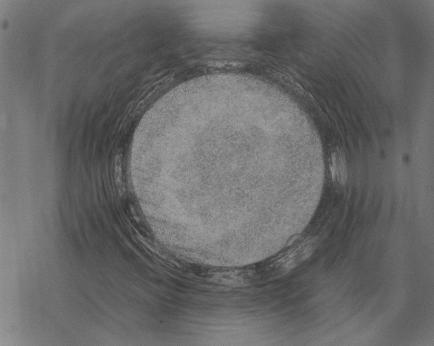 X0000067461396200605051610