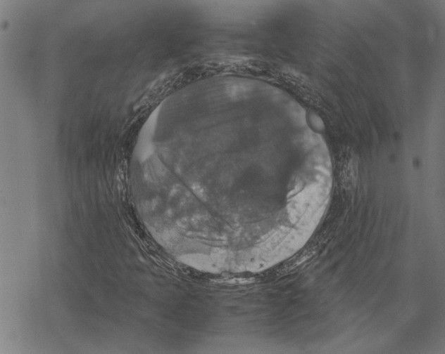 X0000067461397200605051610