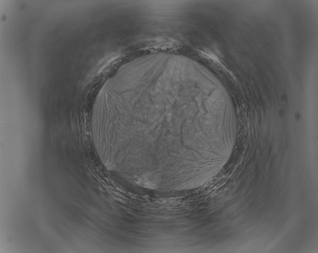 X0000067461399200605051610