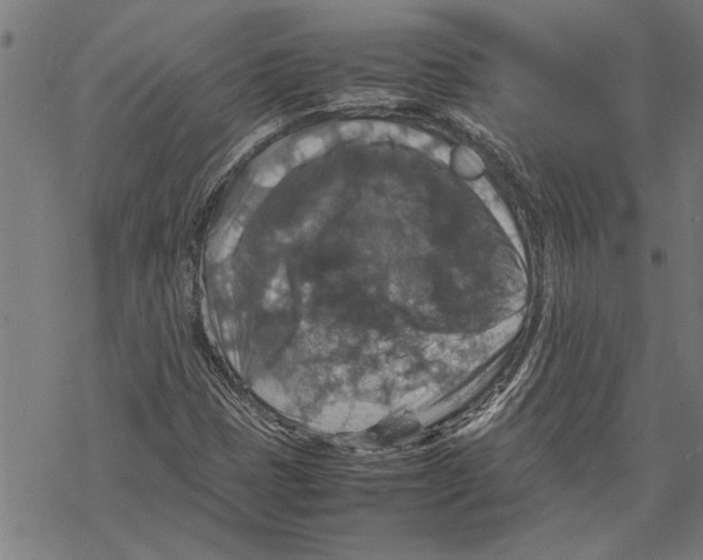 X0000067461401200605051610