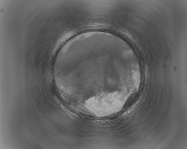 X0000067461405200605051610