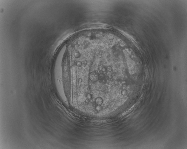 X0000067461407200605051610