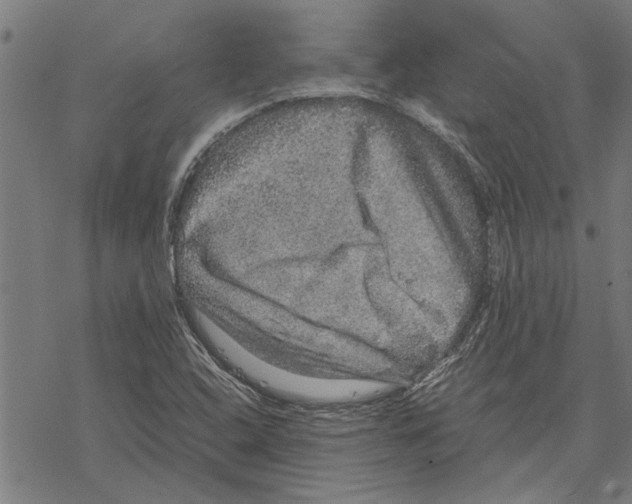 X0000067461408200605051610