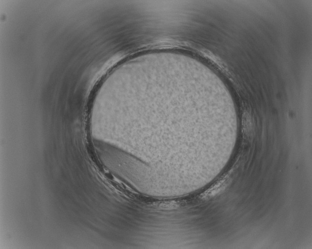 X0000067461410200605051610