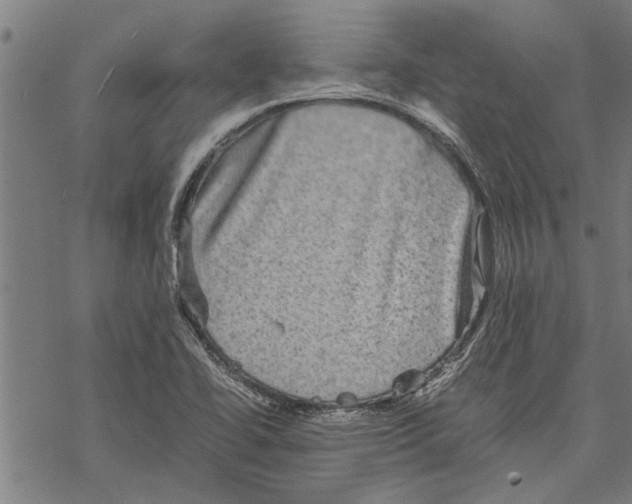 X0000067461414200605051610