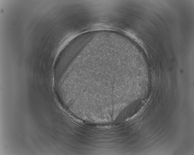 X0000067461415200605051610