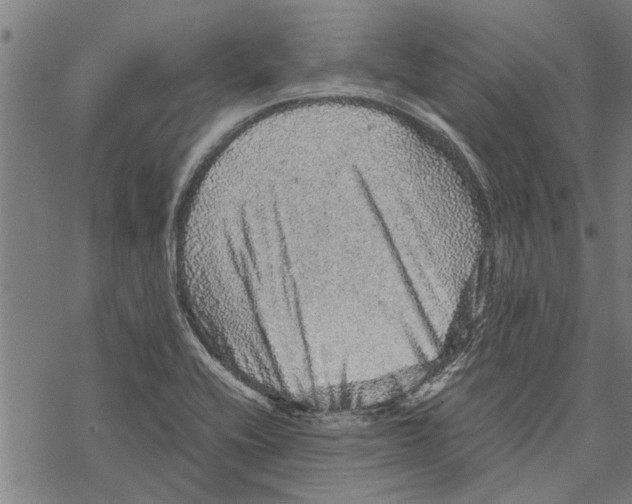 X0000067461416200605051610