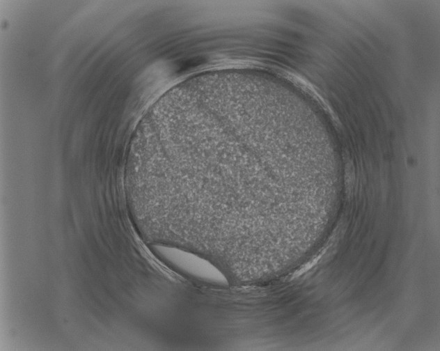 X0000067461417200605051610