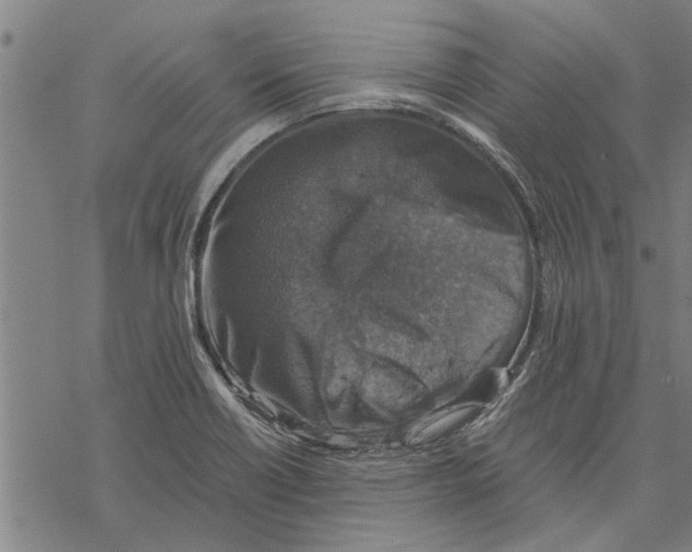 X0000067461418200605051610