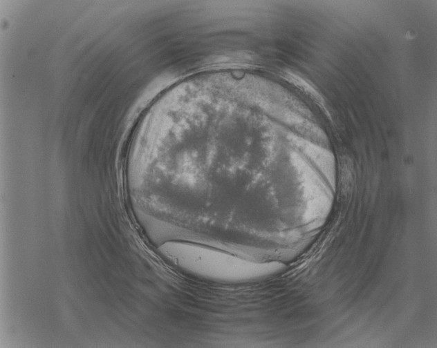 X0000067461419200605051610