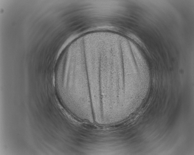 X0000067461420200605051610