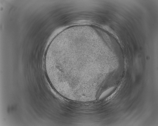 X0000067461421200605051610