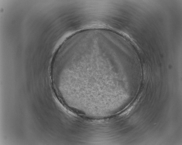 X0000067461422200605051610