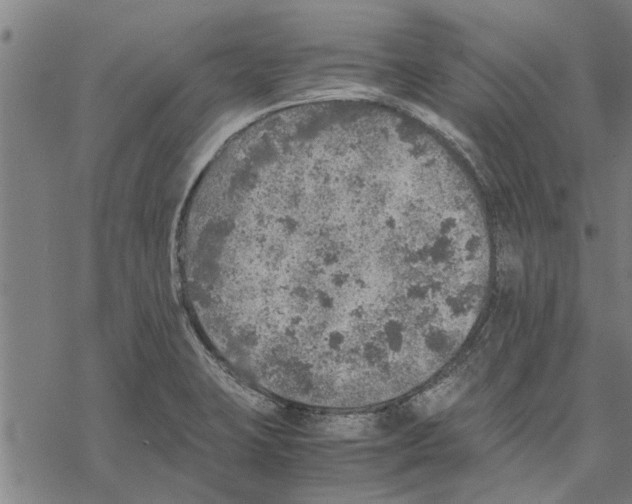 X0000067461423200605051610