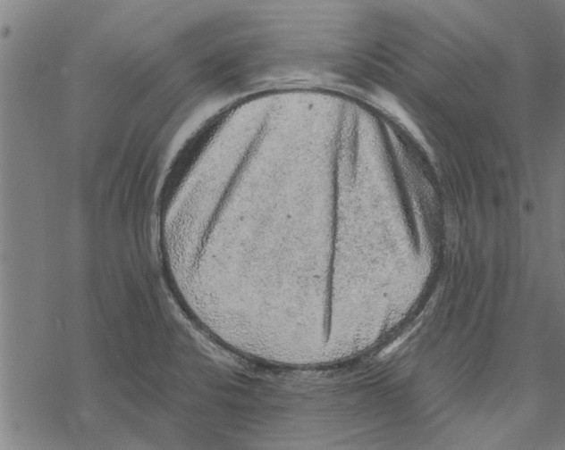 X0000067461424200605051610