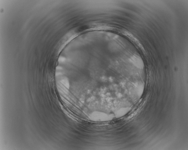 X0000067461425200605051610